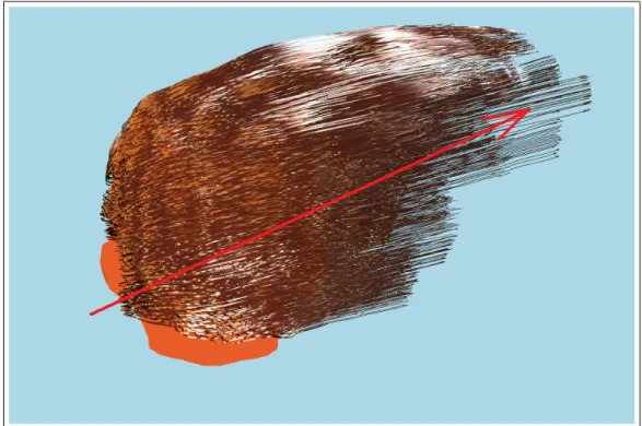 Figure 4.2: The drawn wind stroke and the produced wind force affecting the hair simulation.