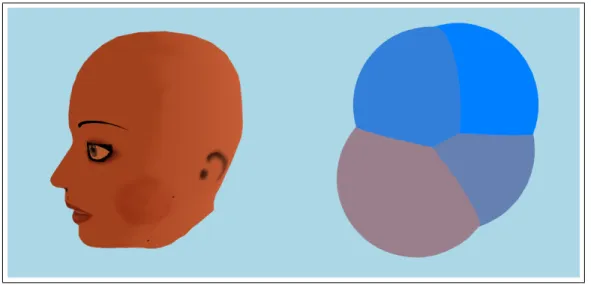 Figure 4.3: The used head model and the corresponding combination of collision spheres for hair-head collision detection.