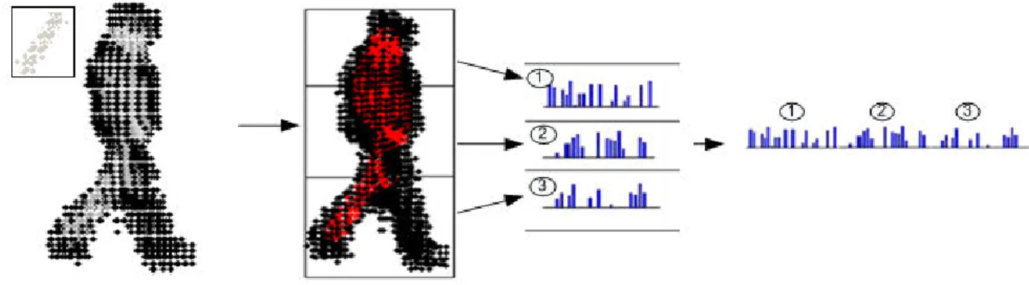 Figure 1. Representing 3D poses as distribution of cylinders: First, a set of 3D kernels in different orientations and sizes are searched over volumetric pose data