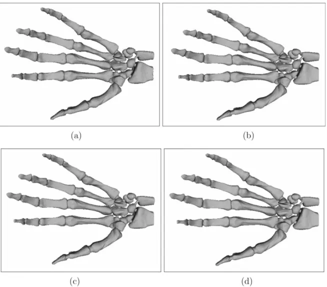 Fig. 7. The Hand model compressed using the proposed method with (a) 12.73 bpv, (b) 18.93 bpv, (c) 20.03 bpv