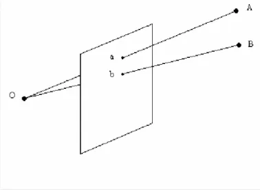 Figure 1 Perspective projection 