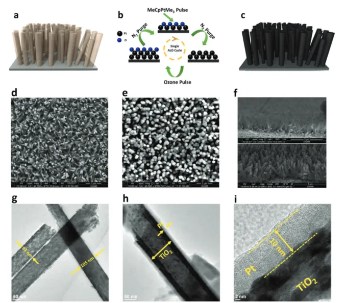 Fig. 1 shows a schematic illustration of fabrication steps of the Pt coated TiO 2 nanowires