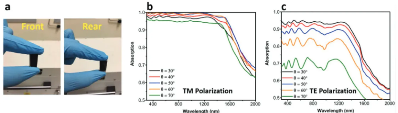 Fig. 7 (a) The front and rear appearance of the nanowire sample and its angular response to (b) TM and (c) TE polarized excitation light.