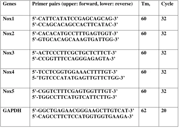 Table 2: List of gene-specific primers used for expression analysis of Nox genes 