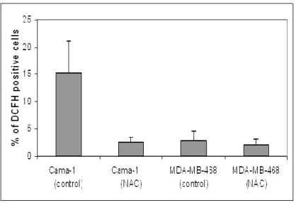 Figure  17:  Percentage  of  DCFH  positive  cells  before  and  after  NAC  treatment  in  Cama1 and MDA-MB-468 plates at Day13