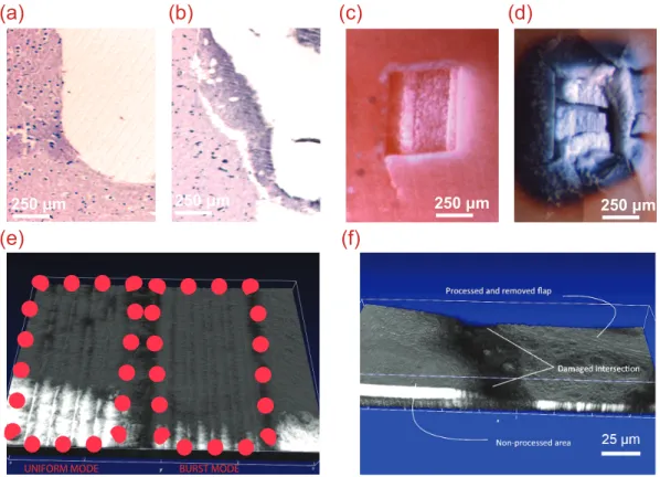 Fig. 2. Burst-mode and uniform mode results obtained for various hard and soft tissue targets