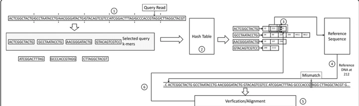 Figure 1 Hash table based mapping. The flow chart of hash table based mappers. 1) Divide the query read into smaller k-mers