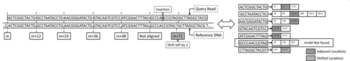 Figure 5 An example of Adjacency Filtering with errors. An example of insertion tolerance