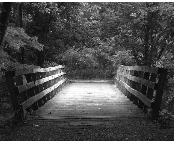 Figure 1: The Bridge.
