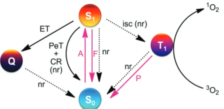 Figure 2.  Parent structures of the most commonly used dyes in activatable PS design. Left: 