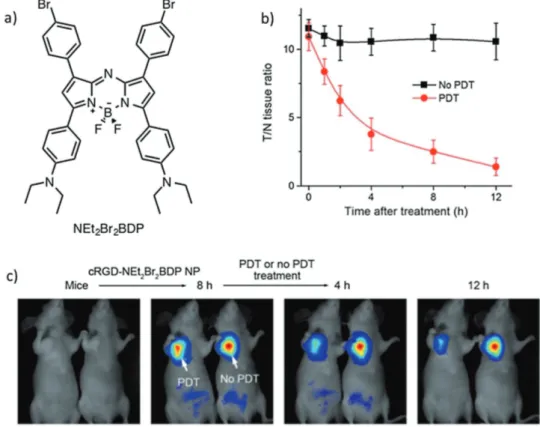 Figure 3.  a) Structure of the pH-activatable aza-BODIPY-based PS. b) T/N tissue fluorescence ratios of U87MG tumor-bearing mice with respect  to time before and after PDT treatment