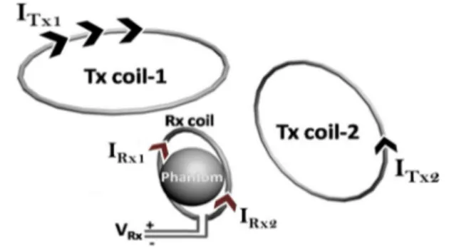 Fig. 1   Visualization of the decoupling process: Tx coil-1 (transmit  coil) and the receive coil are placed orthogonally, which reduces the  B 1 -induced current on the receive coil
