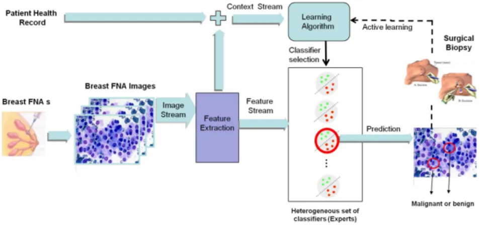 Fig. 1. Active image stream mining performed by the IMS by utilizing contextual information for classifier selection for breast cancer diagnosis.