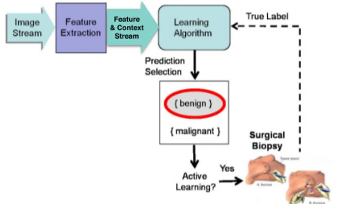 Fig. 2. Active image stream mining performed by the IMS by direct context based predictions.