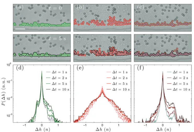 Fig. 3 Edge growth. (a–c) Two snapshots of the droplet’s edge separated by a time lag Dt = 5 s for the cases of a drying droplet containing (a) only colloidal particles, (b) colloidal particles and motile bacteria, and (c) colloidal particles and non-motil