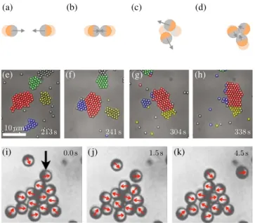 FIG. 13. Clustering and living crystals. Qualitative explanation of the clustering process: (a) when two active particles collide head on, (b) they block each other and form a two-particle cluster;