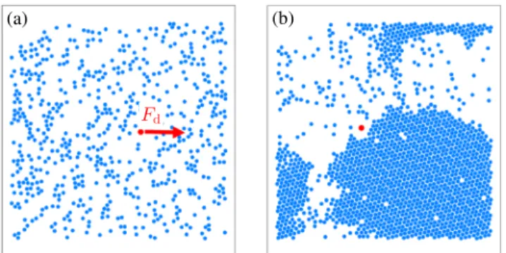 FIG. 14. Self-jamming. (a) Particle locations for an active matter system [dark gray (blue) particles] in a uniform liquid state at density ϕ ≈ 0.2 with an externally driven probe particle [light gray (red) particle]