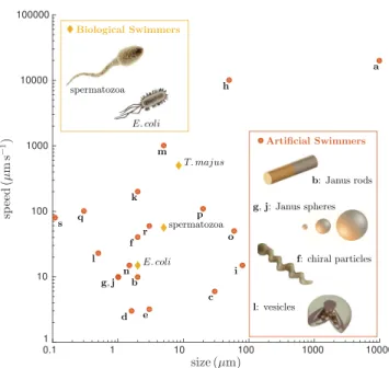 FIG. 1. Self-propelled Brownian particles are biological or man- man-made objects capable of taking up energy from their environment and converting it into directed motion