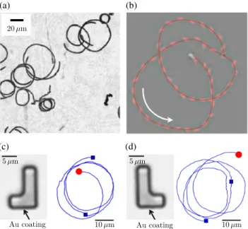 FIG. 3. Biological and artificial chiral active Brownian motion.