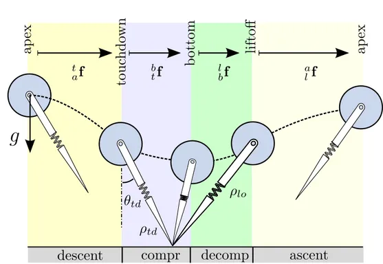 Figure 2.1: SLIP locomotion phases (shaded regions) and transition events (boundaries)