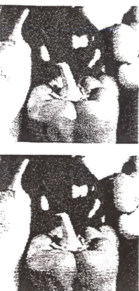 Figure 3: Dithering an image quantized to 16 colors with the median-cut algorithm: (a) Error diffusion with the Floyd-Steinberg ﬁlter (b) Error diffusion with the proposed ﬁlter