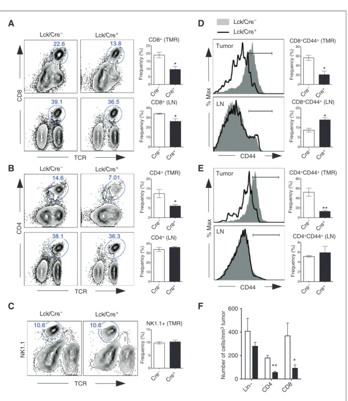 Figure 6. Reduction in numbers and memory –effector differentiation of tumor-associated T cells after lymphoid deletion of A2ARs