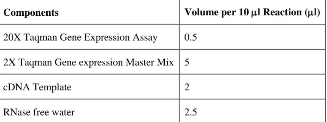 Table 3.4: Ingredients and volumes of master mix for SYBR green protocol 