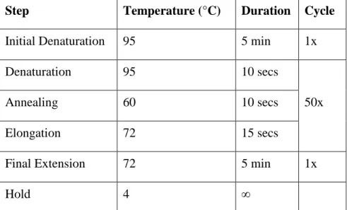 Table 3.6: Program for Q-RT-PCR with SYBR green 