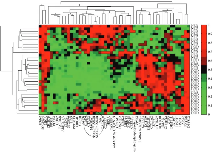 Figure 2: Hierarchical clustering gene expression of a 50-gene signature showing strongest association with prognosis in 35 stage III melanoma patients