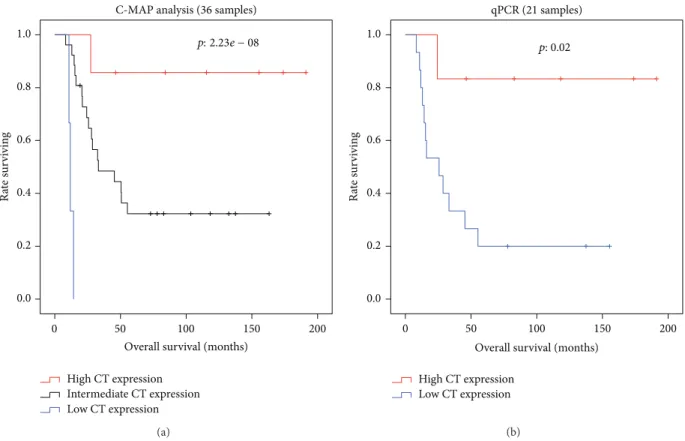 Figure 3: Overall survival curves stratifying the patients according to integrated cancer testis antigen genes expression
