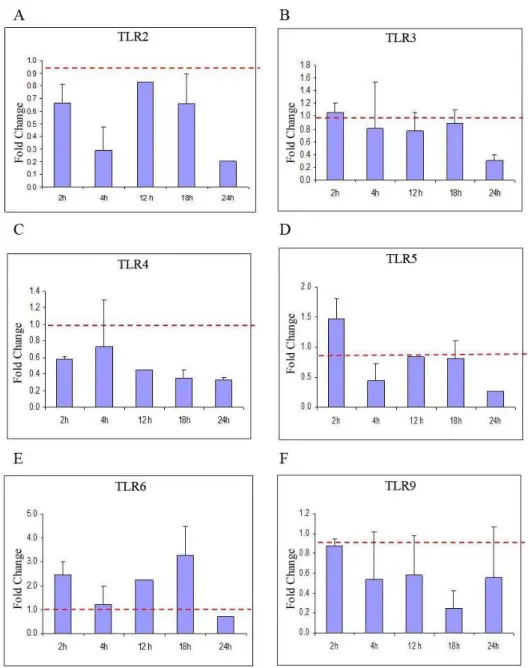 Fig. 6. qRT-PCR profiles showing time course fold change of (A) TLR2, (B) TLR3, (C) TLR4, (D) TLR5, (E) TLR6 and (F) TLR9  gene transcript levels following PH over 24 h