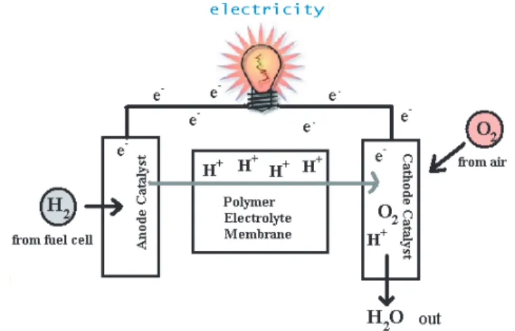 Figure 2.1: A schematic description of fuel cell.