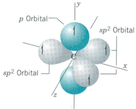 Figure 3.3: Three sp 2 hybrid orbitals are coplanar, the unhybridized p z orbital is perpendicular to this plane [17].