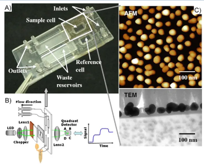 Figure 10. A microﬂuidic-based LSPR system. (A) The gold-nanosphere-coated LSPR channel and the control channel are positioned next to each other in the photograph of the microchip