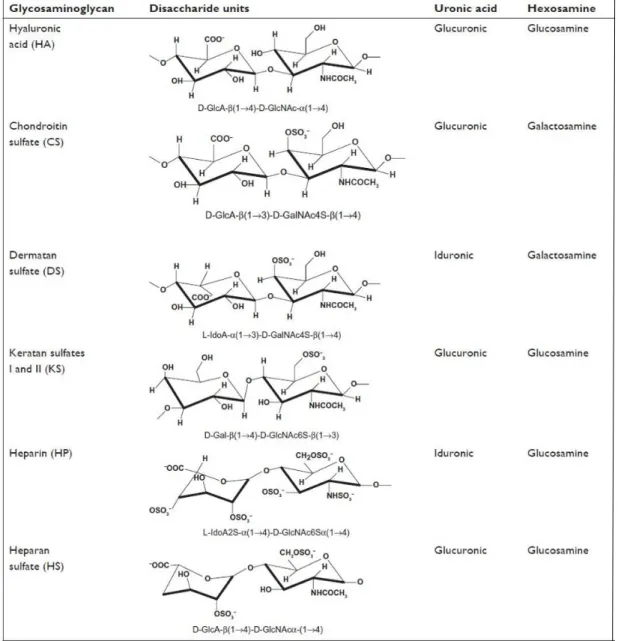 Figure  2:  Chemical  structures  of  glycosaminoglycans.  Disaccharide  units  and  their  linkage types are provided with their common names