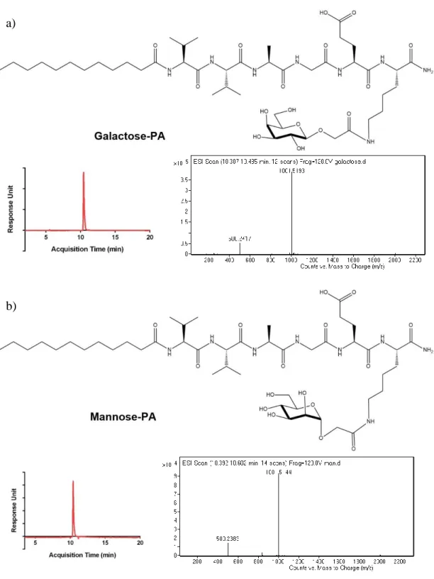 Figure  6:  Chemical  structures  and  LC-MS  analyses  of  a)  galactose-PA  and  b)  mannose-PA