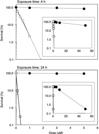 Fig. 2. The effects of AFB1 (closed circles) or Adriamycin (open circles) treatment of HepG2 cells for 4 h (top) or 24 h (bottom) on cell survival colony-forming ability