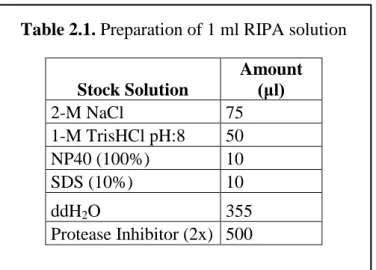 Table 2.1. Preparation of 1 ml RIPA solution 