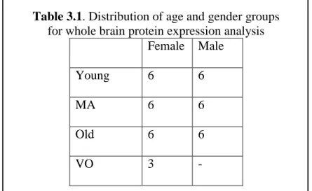 Table 3.1. Distribution of age and gender groups  for whole brain protein expression analysis 