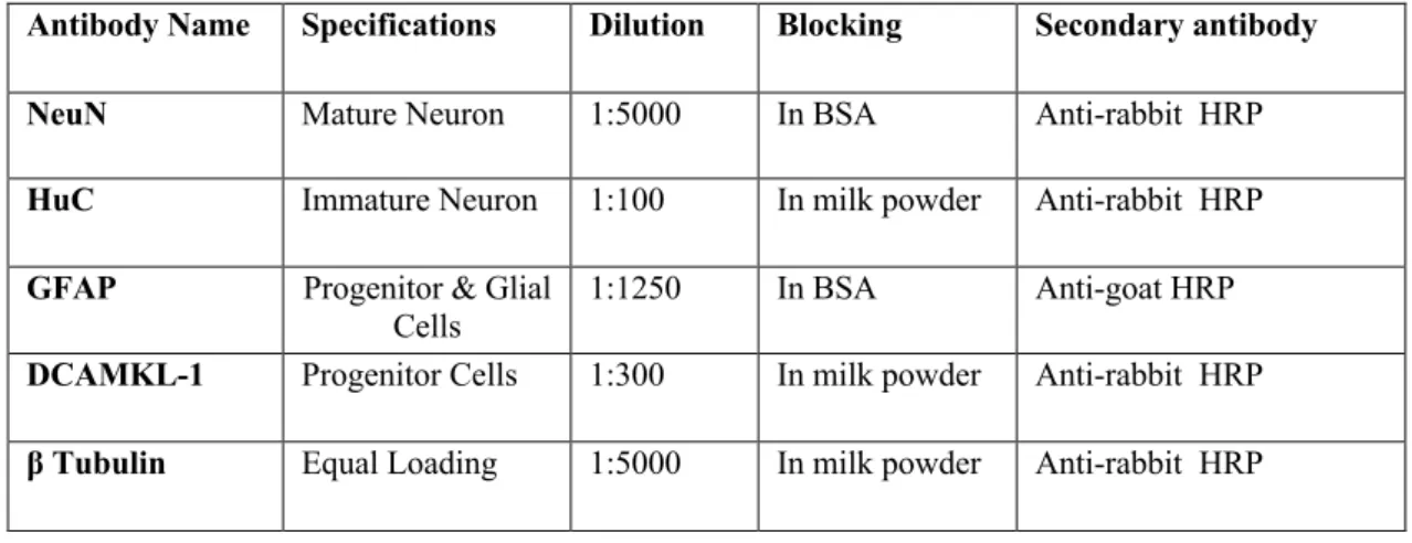 Table 2. 12 Antibody information for Western Blot experiments 