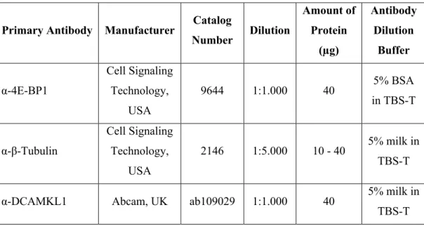 Table 2.1. Western blot antibodies and their working conditions 