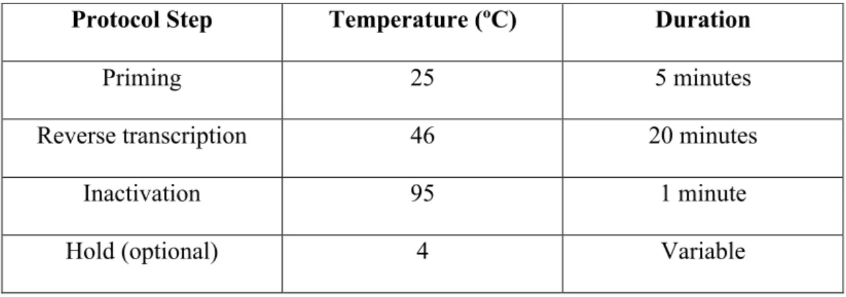 Table 2.7. Reaction protocol for cDNA synthesis 