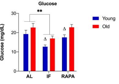 Figure  3.2.  Changes  in  the  whole-body  glucose  levels  in  response  to  IF  and  RAPA treatment