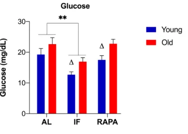 Figure  3.2.  Changes  in  the  whole-body  glucose  levels  in  response  to  IF  and  RAPA treatment