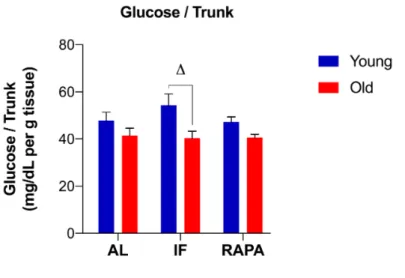 Figure  3.4.  The  levels  of  whole-body  glucose  normalized  to  trunk  weight  in  response  to  IF  and  RAPA  treatment