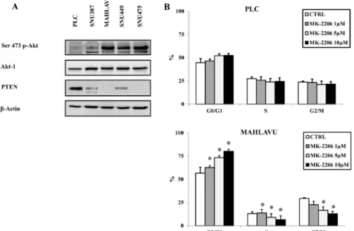 Figure 1: Different levels of Akt-1 phosphorylation are detected in HCC cell lines and correlate with cell cycle block  induced by MK-2206