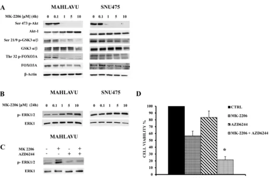 Figure 4: Effects of MK-2206 on the phosphorylation levels of key Akt substrates and ERK 1/2