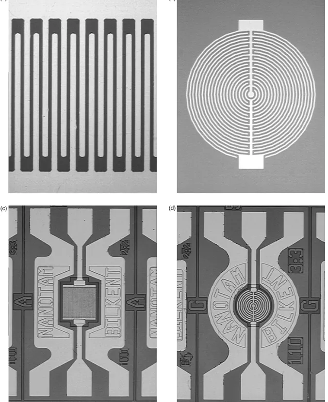 Fig. 1. Microphotographs of MSM photodetectors: (a) detail of interdigitated fingers; (b) circular interdigitated fingers; (c and d) completed MSM photodetectors.
