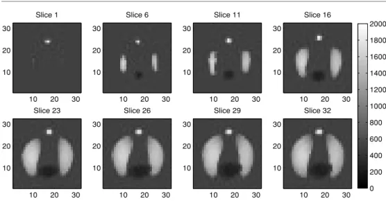 Figure 3. Resistivity distribution ρ org used in simulations.