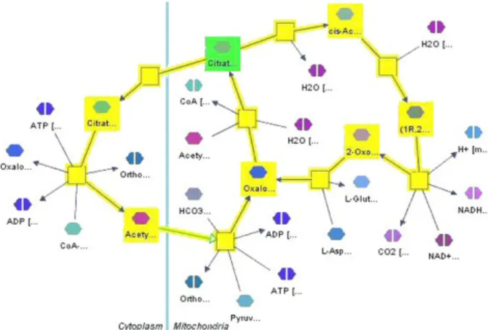 Figure 14 illustrates this with an example. Our algorithm is based on generating all cycles starting from a given set of source nodes in a directed graph, as described in [38].